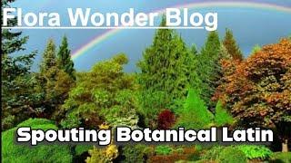 Flora Wonder Blog | Spouting Botanical Latin