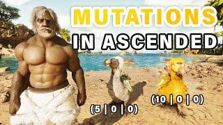 How to Get Mutations in ASA | Breeding & Stacking Mutations COMPLETE GUIDE ► Ark Survival Ascended