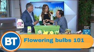 Flowering bulbs 101 with Frankie Flowers