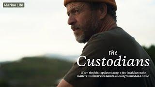 Patagonia film: The Custodians | Trailer | WaterBear