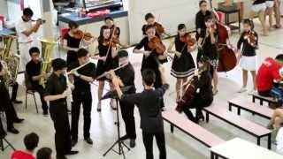 VJCSB/Strings Flashmob 2013