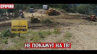 Живут на воде, строятся в заповеднике, плюют на законы. А нам запрещено приближаться к воде на 200 м