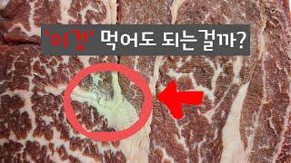 상한거 같은 고기 먹어도 괜찮을까? | 상한 고기 구별하는 방법 | 갈변 현상 | 썩은 고기