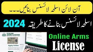 Punjab Arms License Online 2024 Process Complete Guide