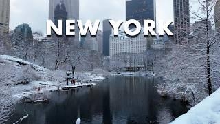 Walking in Central Park in the Winter Snow