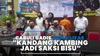 Kakek asal Serang Cabuli Gadis Disabilitas hingga Hamil 6 Bulan, Kandang Kambing Jadi Saksi Bisu