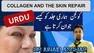 COLLAGEN | How it Strengthens the Skin | Dr Junaid Asghar