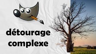 Comment détourer une image complexe rapidement et simplement sur Gimp - Tutoriel FR