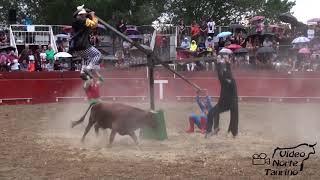 Labastida (Alava) Exibicion recortadores parte 2 09-08-2019 Bergarako Zezenak