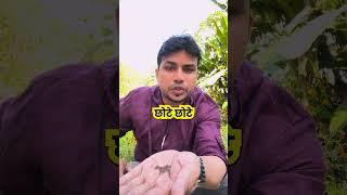 Urinary infection | Prostatitis पेशाब में इन्फेक्शन जलन प्रोस्टेट  | #mishraveda