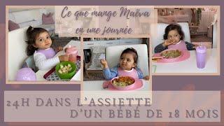 24H DANS L’ ASSIETTE D’UN BÉBÉ DE 18 MOIS // IDÉES REPAS // CE QUE MANGE MAËVA