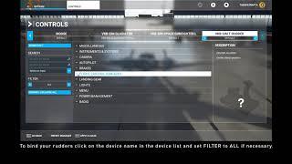 How to bind you joystick or rudders in Microsoft Flight Simulator 2020