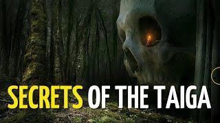 Shocking secrets of the Russian taiga