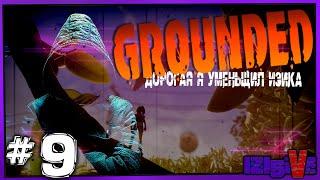  Grounded  ▶ Выживание в миниатюре ▶ [СТРИМ] #9