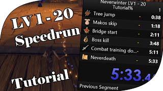 [Neverwinter] Level Up-Speedrun : Tutorial-Gebiet