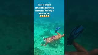 FreeDive more Fun Philippines #love #underwater #freediving #reels #amazing #video #viral #success