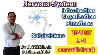 Nervous System | Organization & Functions | Human Anatomy & Physiology-II | BP201T & ER20-14T | L~01