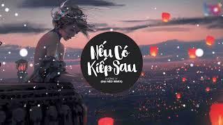 Nếu có kiếp sau | HƯƠNG LY | REMIX Đại Mèo Hay nhất | EDM PLUS MEDIA