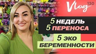 ЭКО. 5 недель // Анализы // Тромбодинамика // Ждем щенка //Покупки