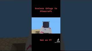 Useless things in Minecraft #shorts