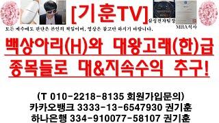 [주식투자]HLB(백상아리(H)와 대왕고래(한)급종목들로 대&지속수익 추구!)