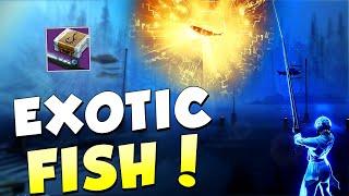 How to Efficiently Fish in Destiny 2! (How to Get Exotic Fish)