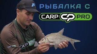 Ловля крупного леща на флэт фидер! Рыбалка с Carp Pro на диком Днепре!