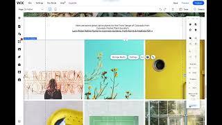 Wix Responsive Images: Full Width Images in Wix