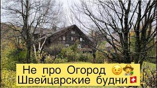 НЕ ПРО ОГОРОД ‍ШВЕЙЦАРСКИЕ БУДНИ 