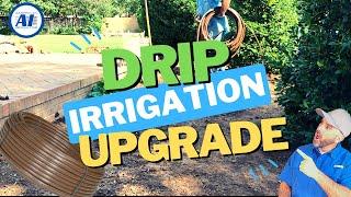 Ditch the Spray Zone and Upgrade to Drip Irrigation | Converting 12" Heads To Drip Irrigation