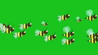 flying Bees green screen/bees animation background Video HD