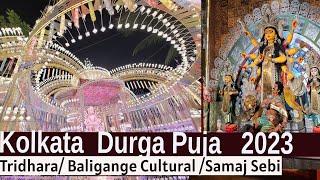 Kolkata Durga Puja Pandal 2023 Durga Puja Kolkata 2023 South Kolkata Trending Puja Pandal