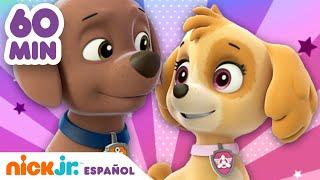 PAW Patrol | ¡Los rescates más valientes de Skye y Zuma durante 1 hora! | Nick Jr. en Español