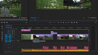 What is Sync locks and try locks in Adobe Premiere 5.3