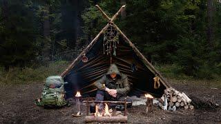 3 Day in Wilderness - Forest Food - Chaga, Berries, Mushrooms - Bushcraft Trip & Solo Overnight