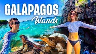 How to Explore the Galápagos Islands Solo: Santa Cruz + San Cristóbal 