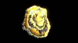 Diamond Lion Productions - Intro