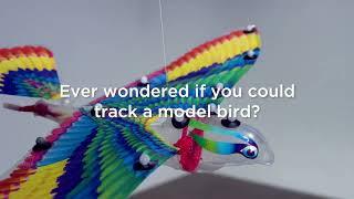 Can you track a model bird?... [motion capture with Vicon Tracker 4]