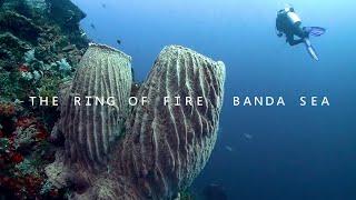 Indonesia The Ring Of Fire Banda Sea | Dive with MK Blue Manta Liveaboard 2022 【班達海】*1080HD*