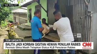 Balita Jadi Korban Gigitan Hewan Penular Rabies