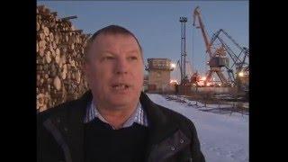 Юрий Сидоров о проблемах в лесной отрасли