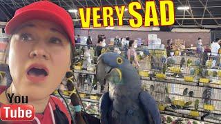 THIS SCENE BREAKS MY HEART AT THE BIRDMART! Exotic Bird Mart & Expo