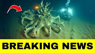 Scariest Deep Sea Creature Discovered by Divers & It Could Be the Ocean’s Deadliest Predator Yet!