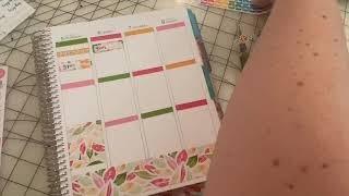 PWM | Erin Condren Vertical | ECLP | BrandyShop Weekly Kit