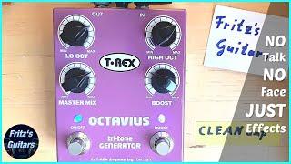 T-REX Octavius TRI-TONE Generator - Octaver + Boost / Clean / Crunch Amp SOUND TONE Demo Review