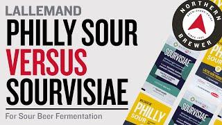 Philly Sour vs. Sourvisiae | Homebrew Sour Beer with Lallemand Brewing