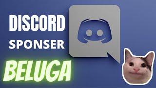 Discord sponsor beluga | #discord #beluga