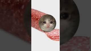 мышка сосиска собачка жвачка кошка кортошка