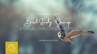 Ethical Owl Observations