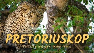 PRETORIUSKOP rest camp and game viewing review | Kruger National Park